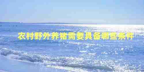 农村野外养猪有收益吗 需要具备哪些条件呢(农村野外养猪有收益吗 需要具备哪些条件和条件)